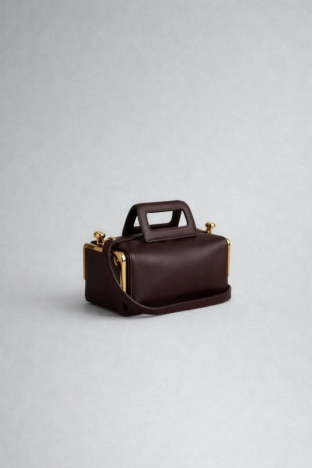 A luxurious designer bag for women with a two-sided clamp frame and a kiss lock.